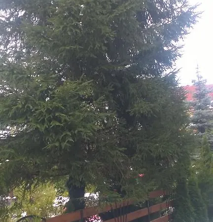 Lejlighed Willa Bajkowe Widoki Zakopane